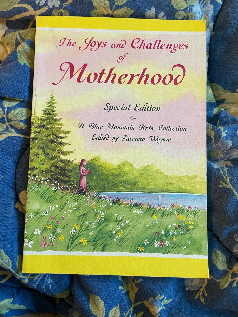 The Joys and Challenges of Motherhood - Pink Cover